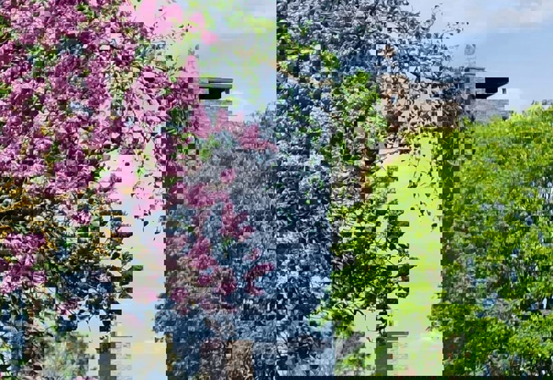 IMG 20250508 WA0013
