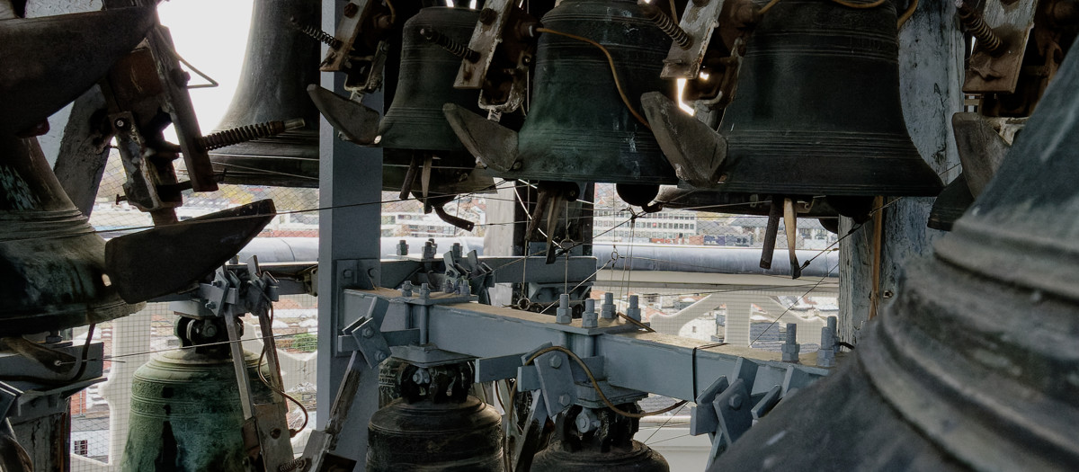 033 11 Nov 2025 NEOS Beiaard Hasselt 94 ARW Dxo Deepprime Srgb