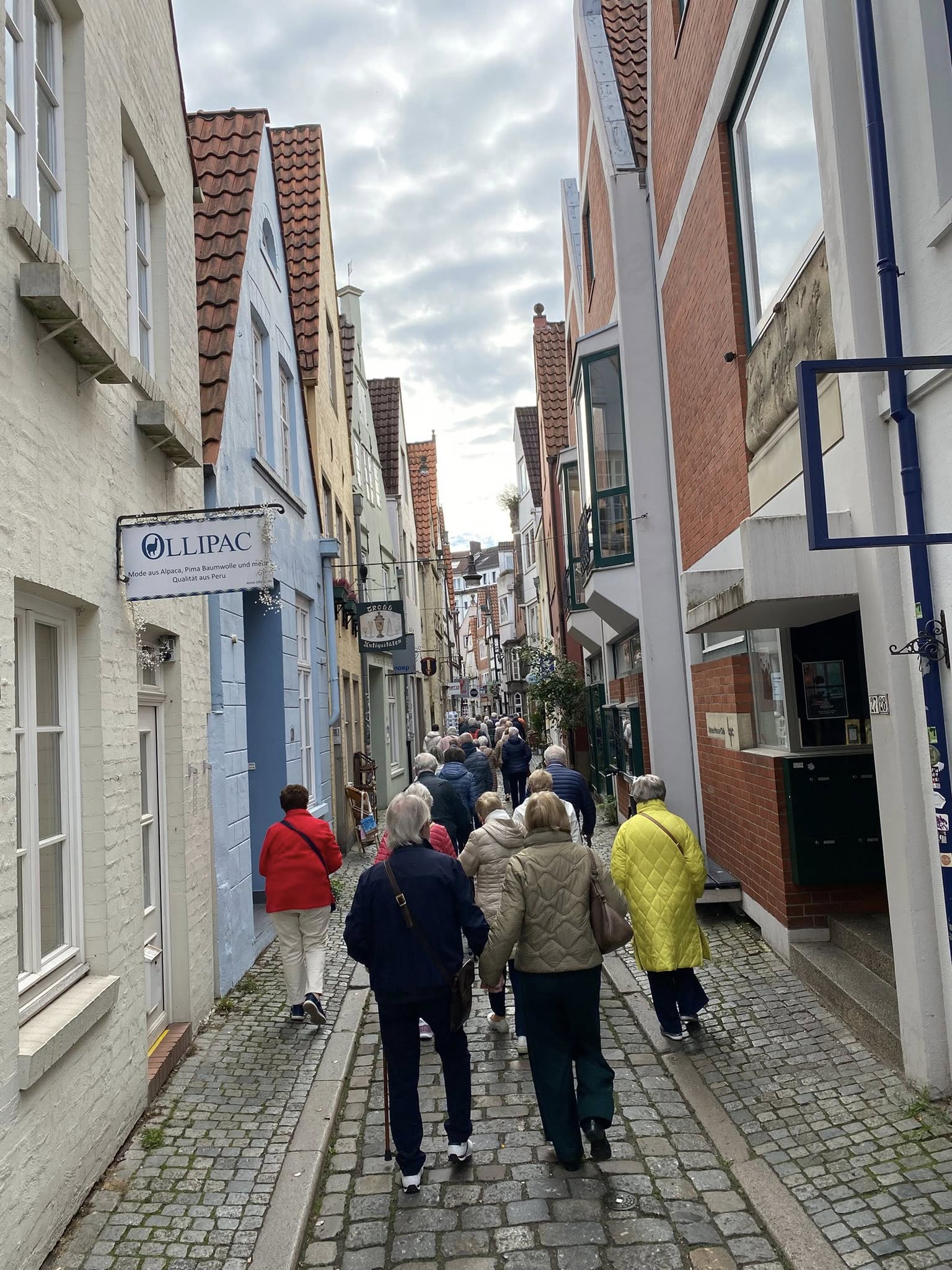 556953319 1244501640812818 6324861891253272149 N