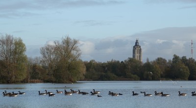 winterwandeling Oudenaarde