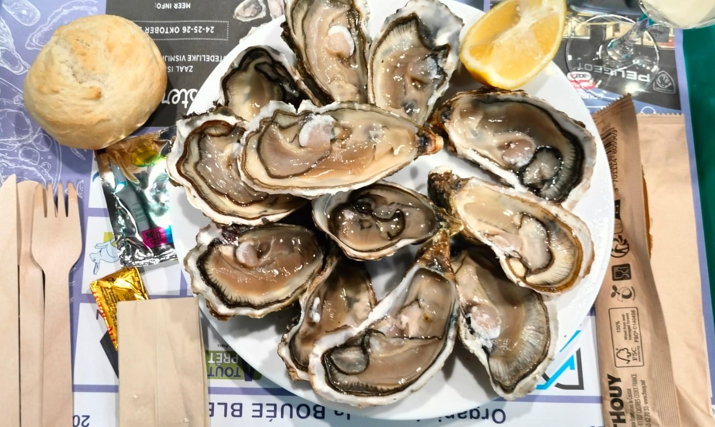 Duinkerke 04Oktober2025