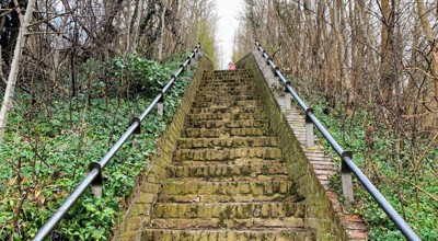 250203_Wand Borreberg