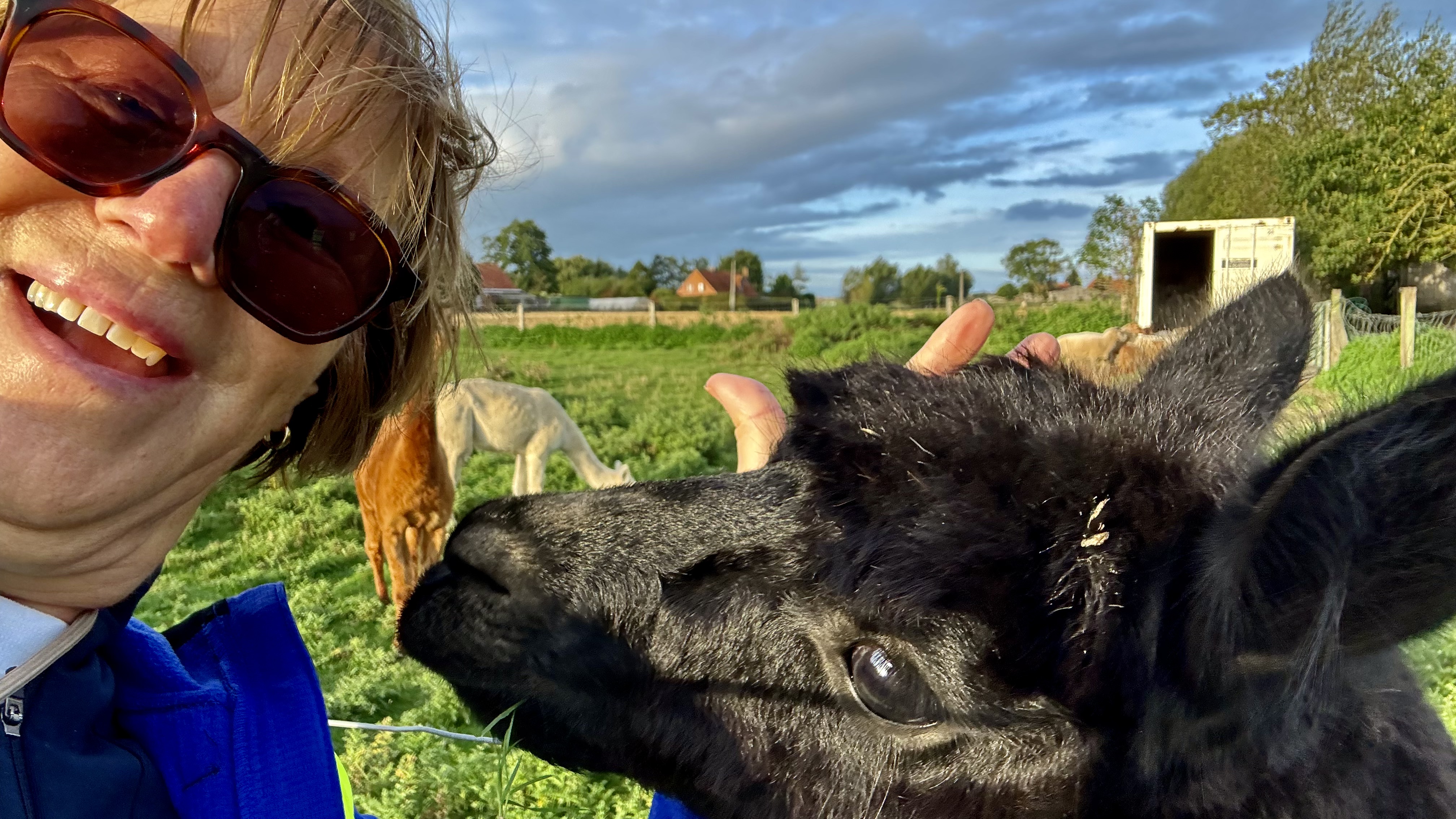 Ochtendwandeling MD