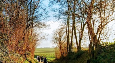HOLLE WEGENWANDELING EN GEZELLIG SAMENZIJN