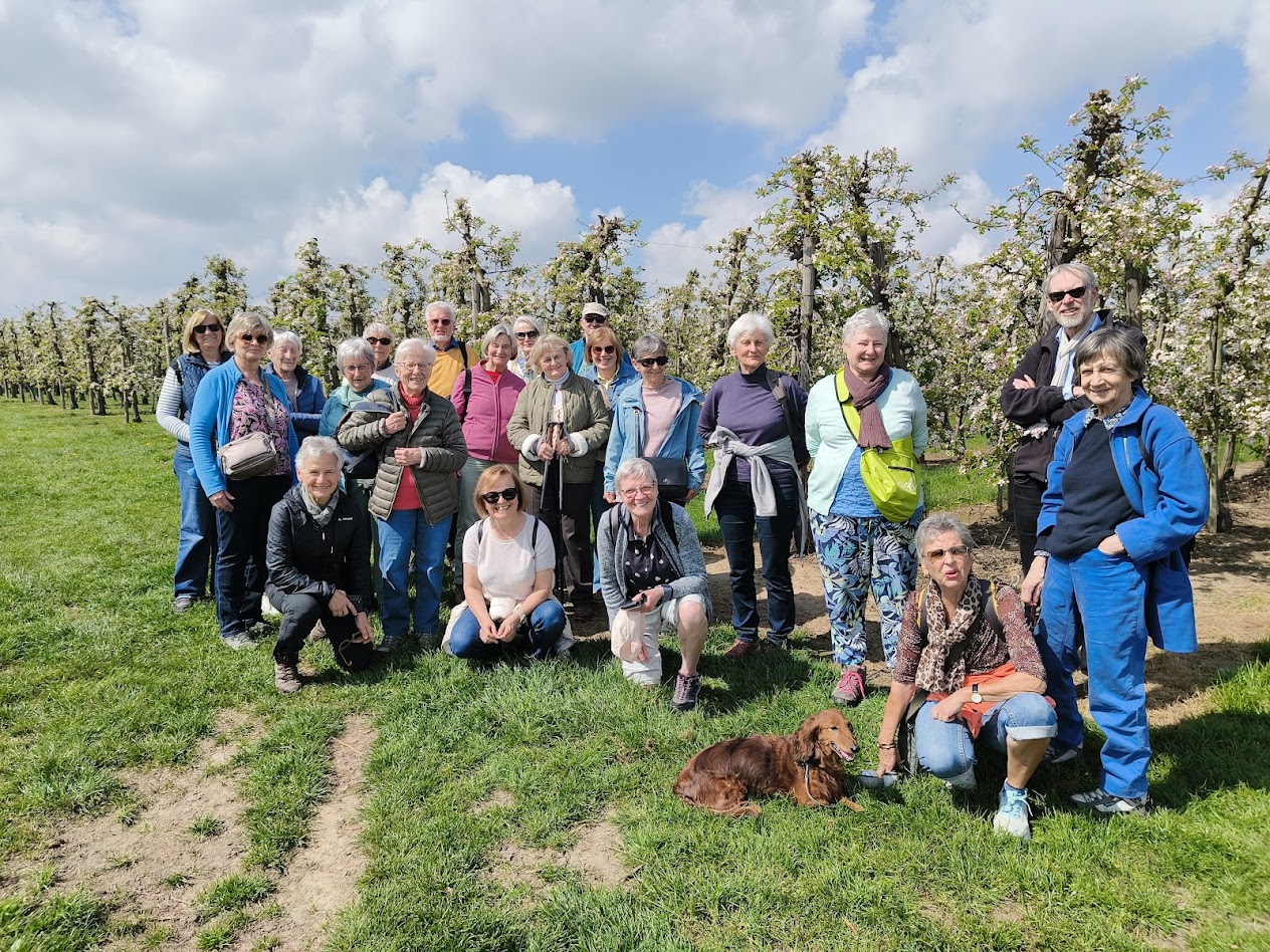 Bloesemwandeling
