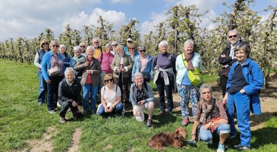 Bloesemwandeling