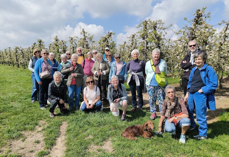 Bloesemwandeling