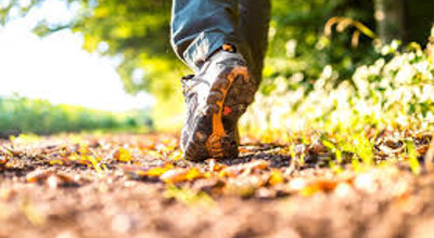 Wandelen