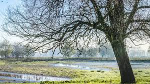 Assebroekse Meersen | Domein in Assebroek | Brugse Ommeland