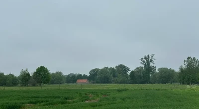260604 Watervalbos
