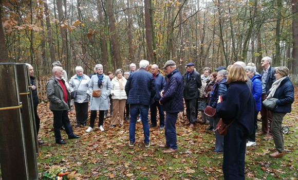 5Img 20241106 111950 10