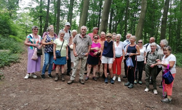 Wandeling de Merode Herselt