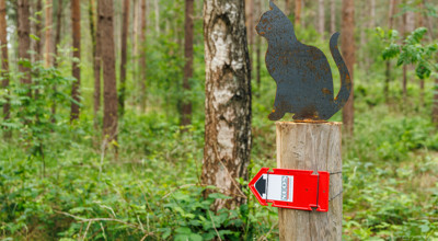 20240521 Neos Postel 0006