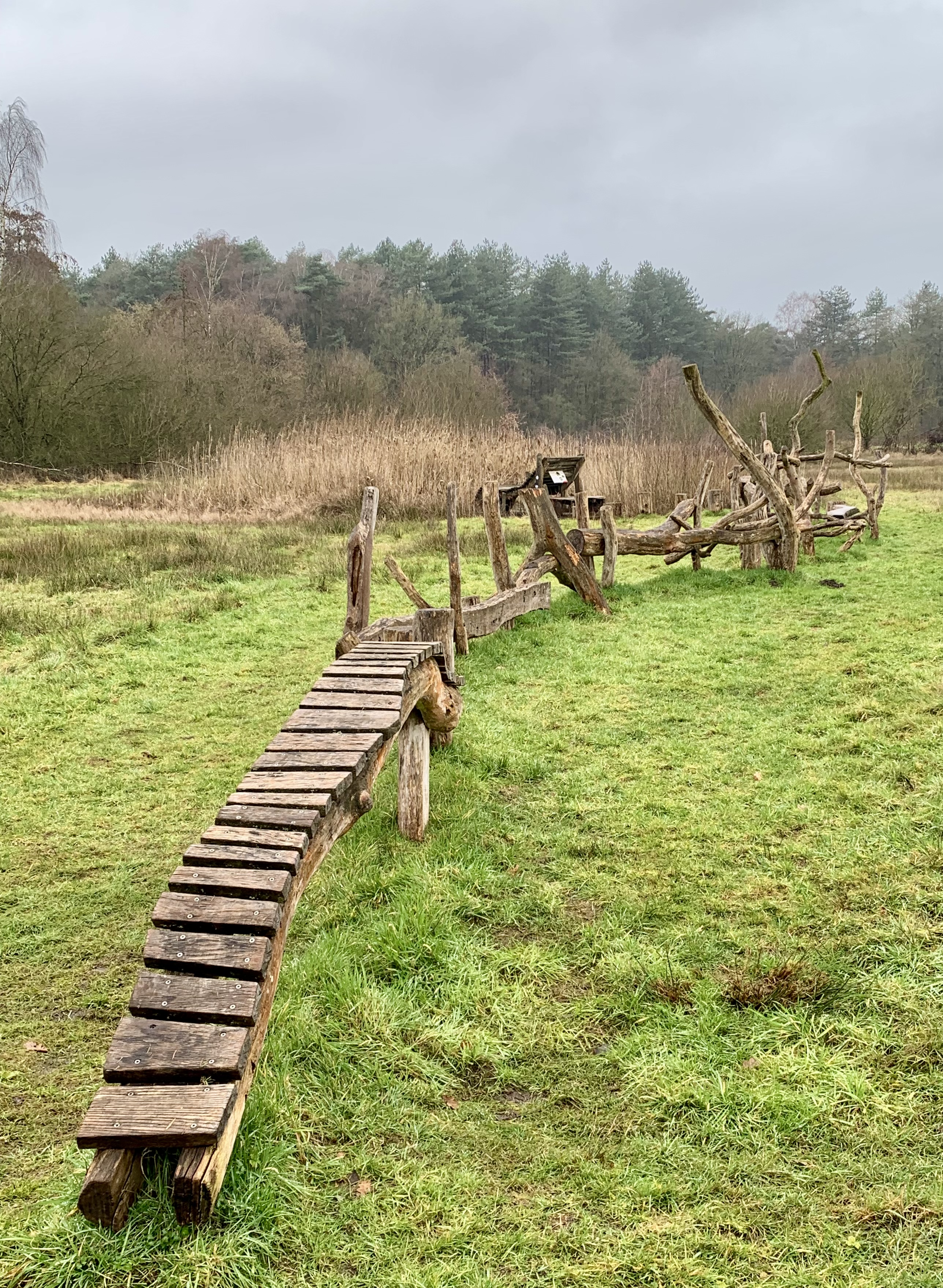 2026 02 03 14.31.00 1