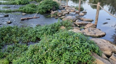 PHOTO 2026 10 26 14 20 02 5