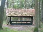 Afbeelding met boom, buitenshuis, gras, bank

Door AI gegenereerde inhoud is mogelijk onjuist.