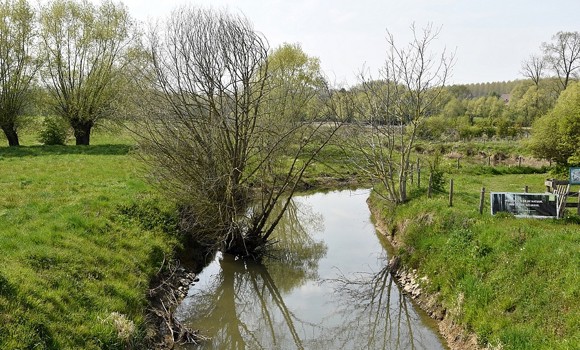 2021 04 28 Natuurreservaat Volsembroek 04