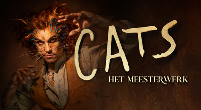 Cats Foto Rob Jacobs 1920X1080