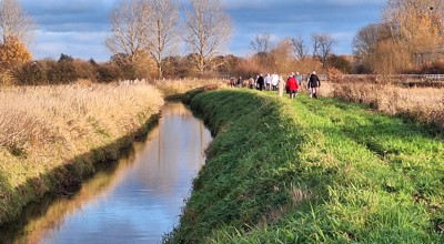 Wandelen