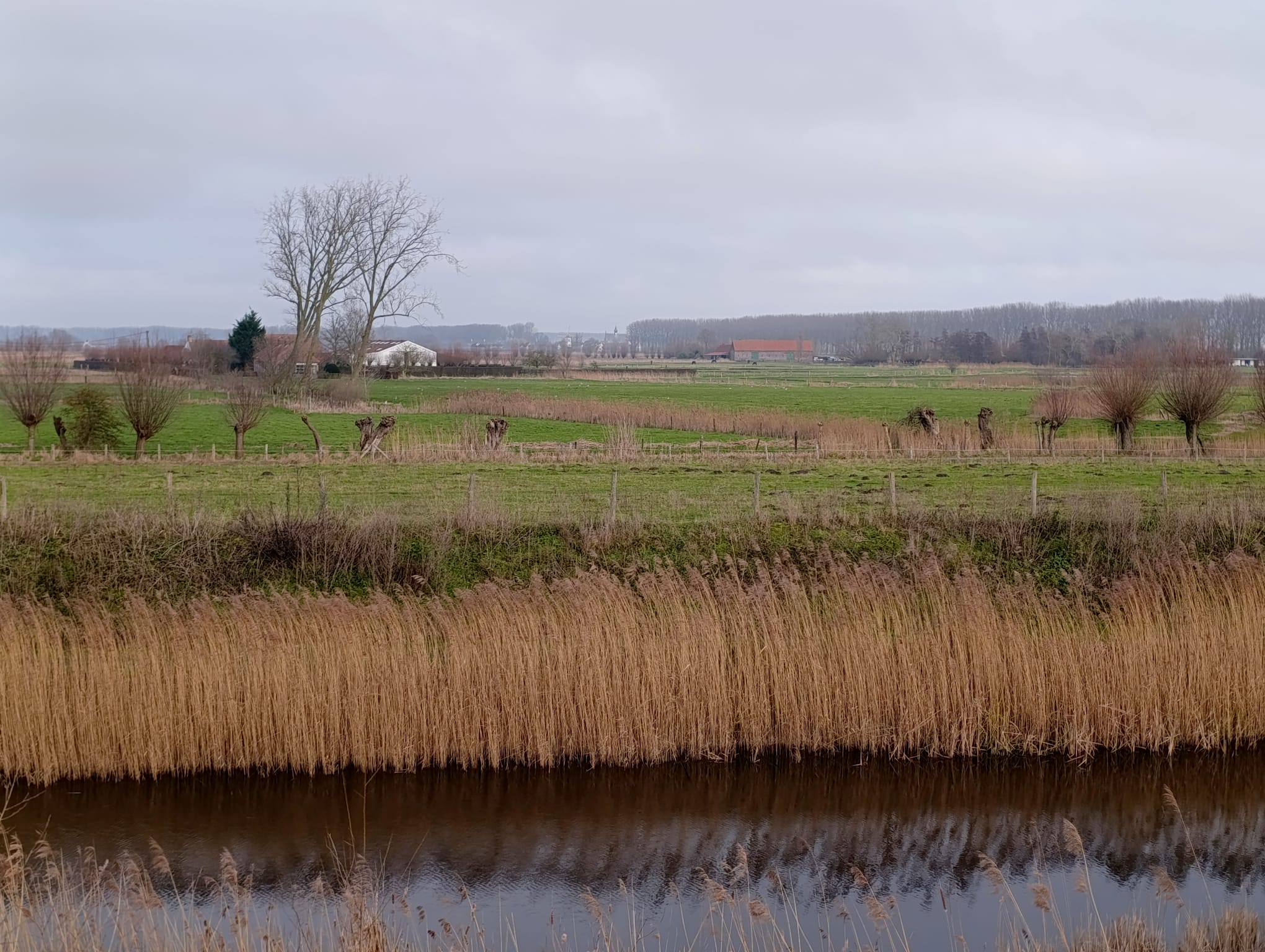 Whatsapp Image 2026 01 20 At 17.18.29