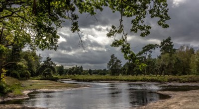 A2a10770 9E60 4279 A49c 9C3a77a7002a 20160821 Img 8118