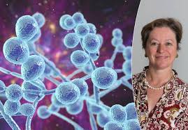 Schimmels Katrien Lagrou