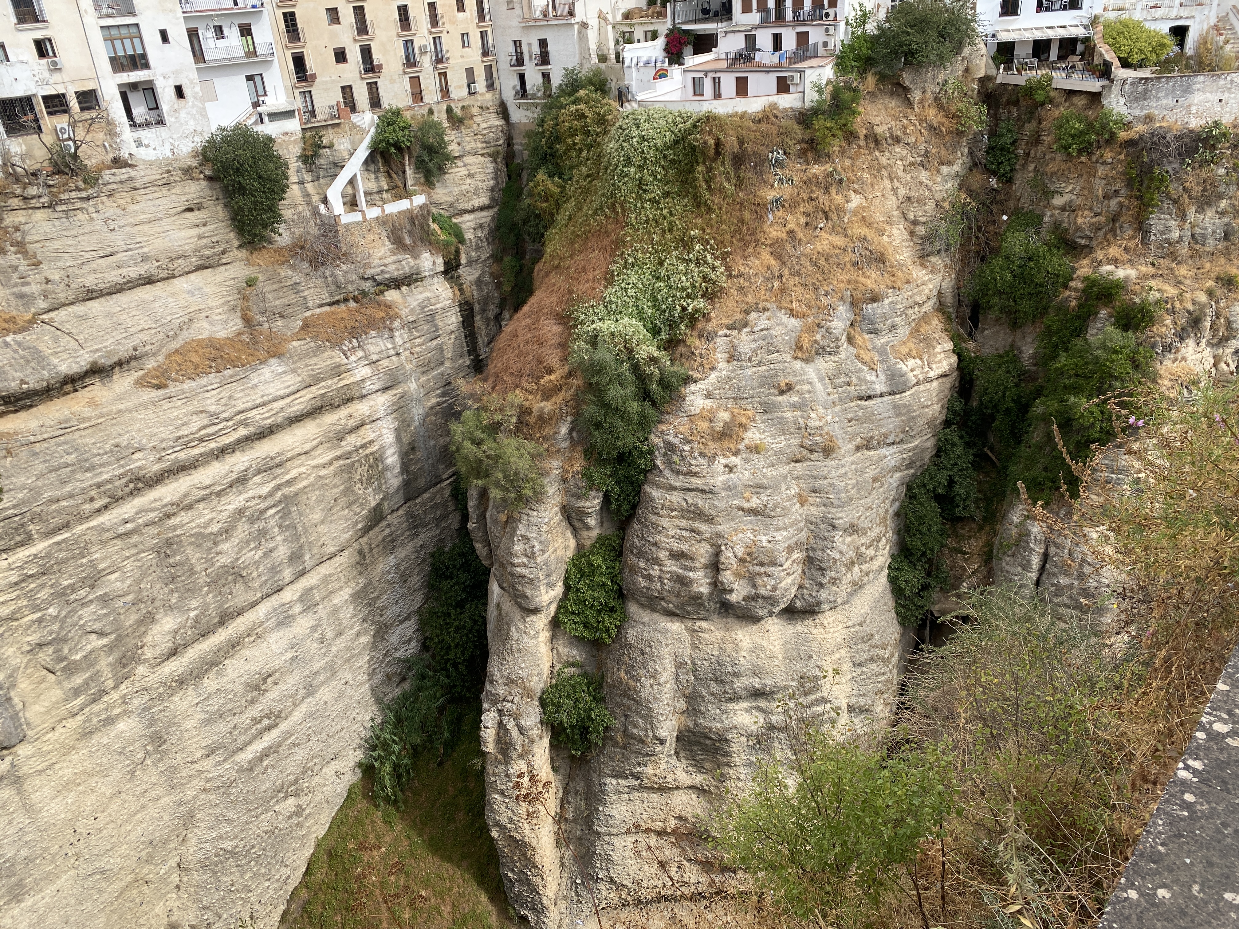 Ronda V