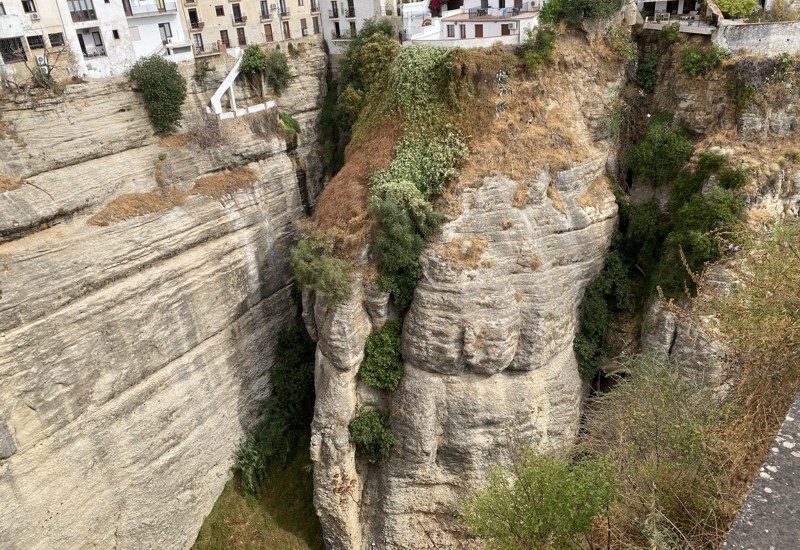 Ronda V