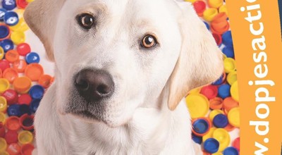 2025 BCG Dopjesactie Poster Hond (2)