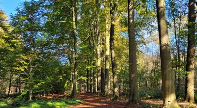 Wandeling (1)