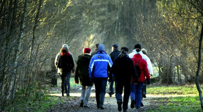 Wandelen
