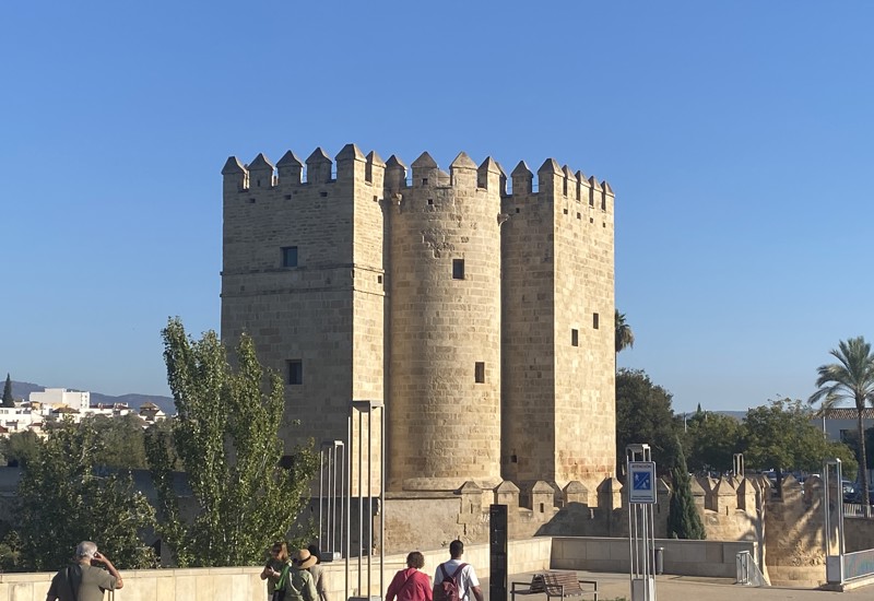 Cordoba l