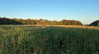 Wandeling bouwel 241025