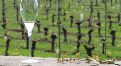 Daguitstap 2025 04 22