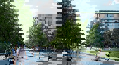Nieuw Zuid