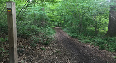 Kloosterbos