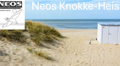 Strand met vogel