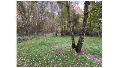 Wandeling Boom 1200 525