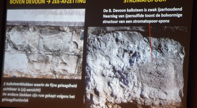 Causerie: Zutendaal, van oeroude zeebodem tot hoogst gelegen snoepje