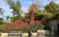 Tuin in Centrum