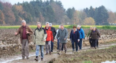 Wandel