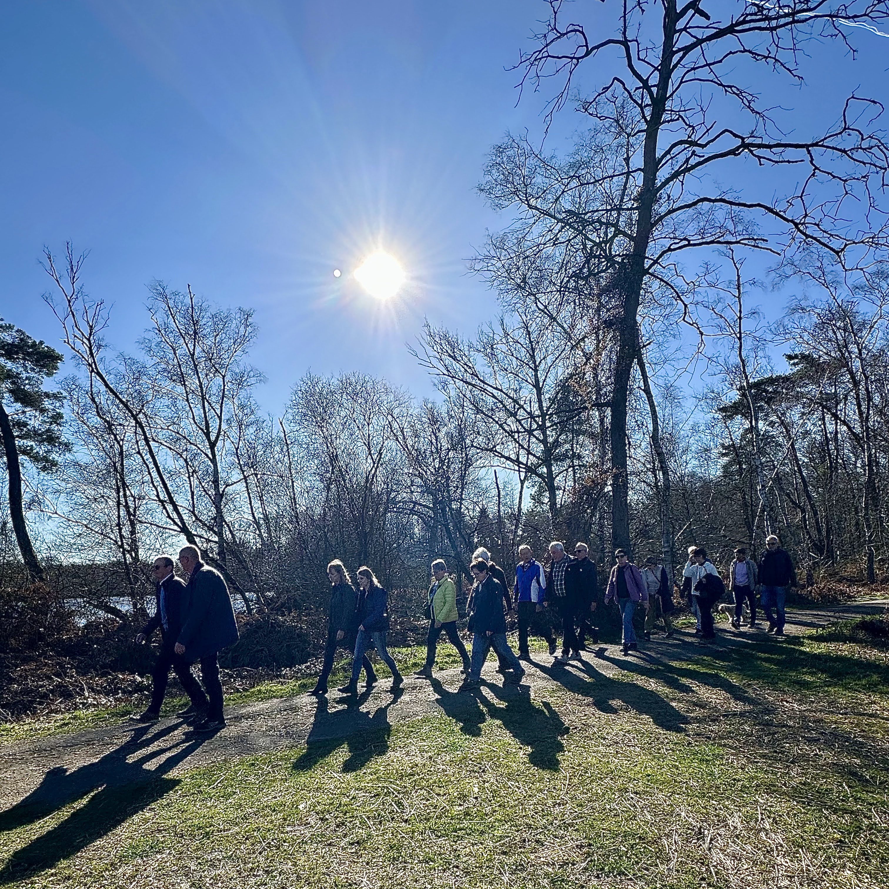 2026-03-02 Wandeling Kiewit