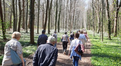 Wandeling Op Rug