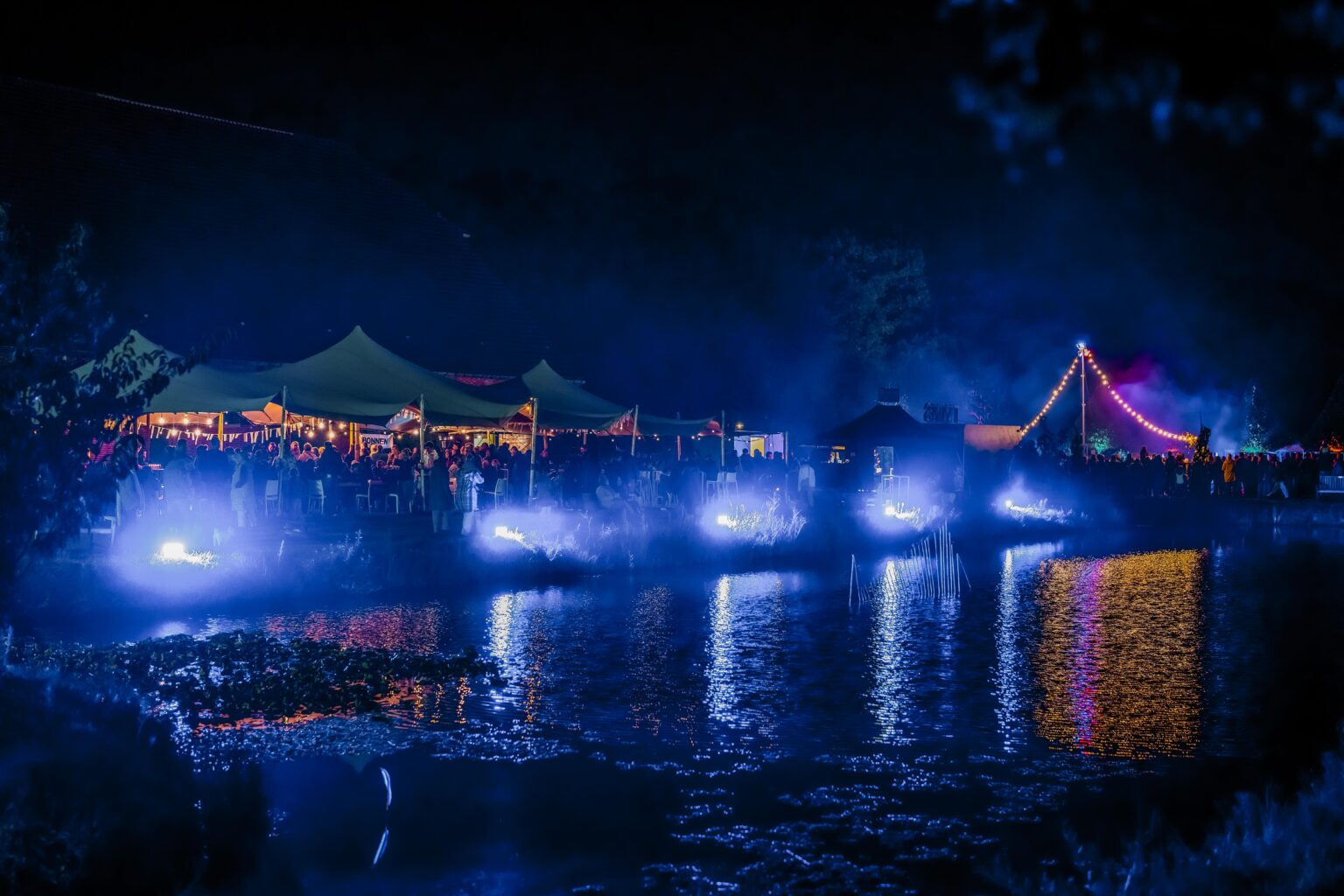 Plantentuin By Night 004 1536X1024 (1)