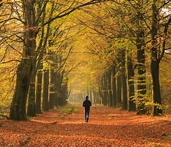 Wandeling 30 Oktober 2025