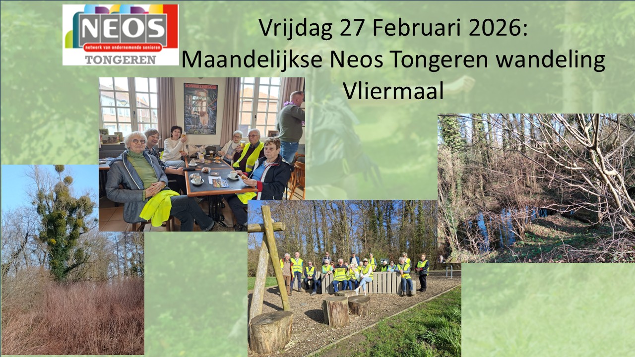 260227 Wandelingvliermaal