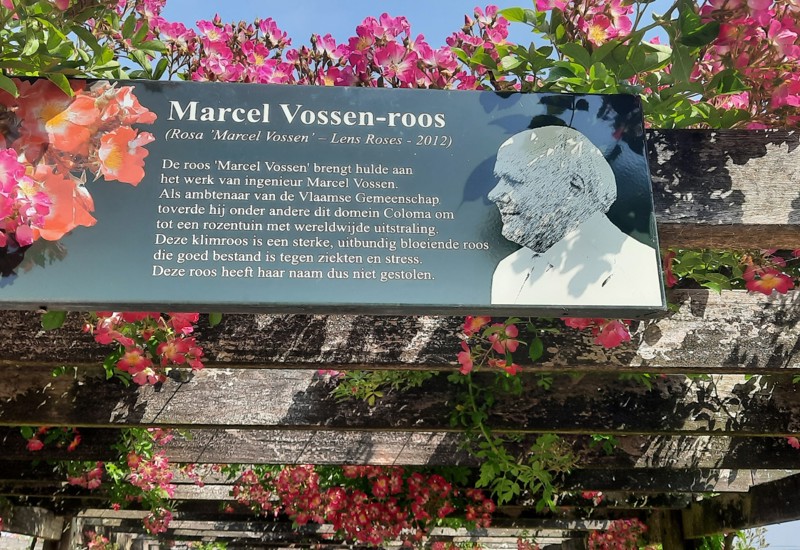 505737165 1031936772360044 8986534553992787111 N