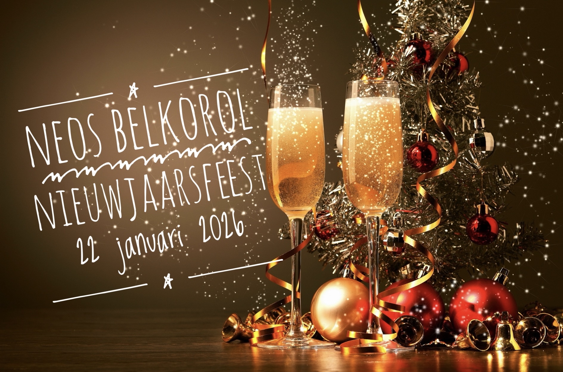 nieuwjaarsfeest 2026 nieuwe foto