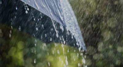 Bouwelse wandeling in de regen