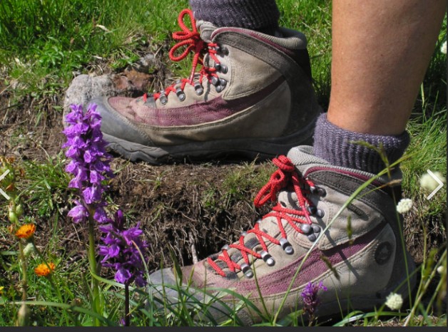 Wandelschoenen